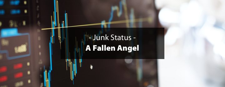 Junk Status – A Fallen Angel