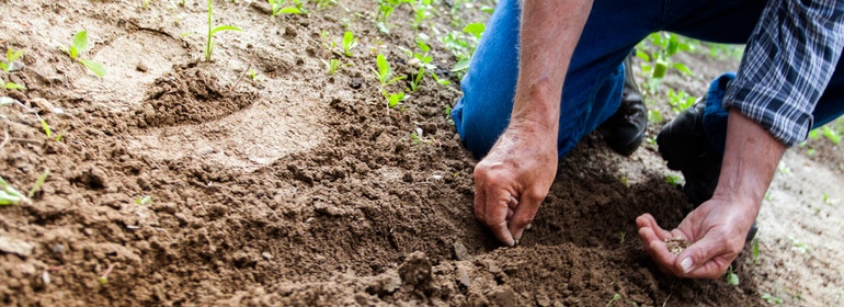 Soil is not enough – what does it mean to be truly rich?